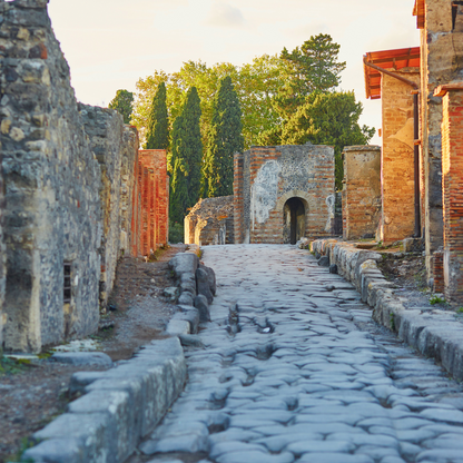 POMPEI SCAVI-ERCOLANO SCAVI-VESUVIO