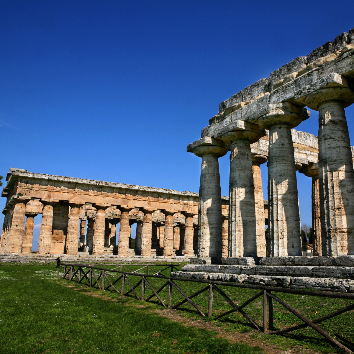 Paestum Experience