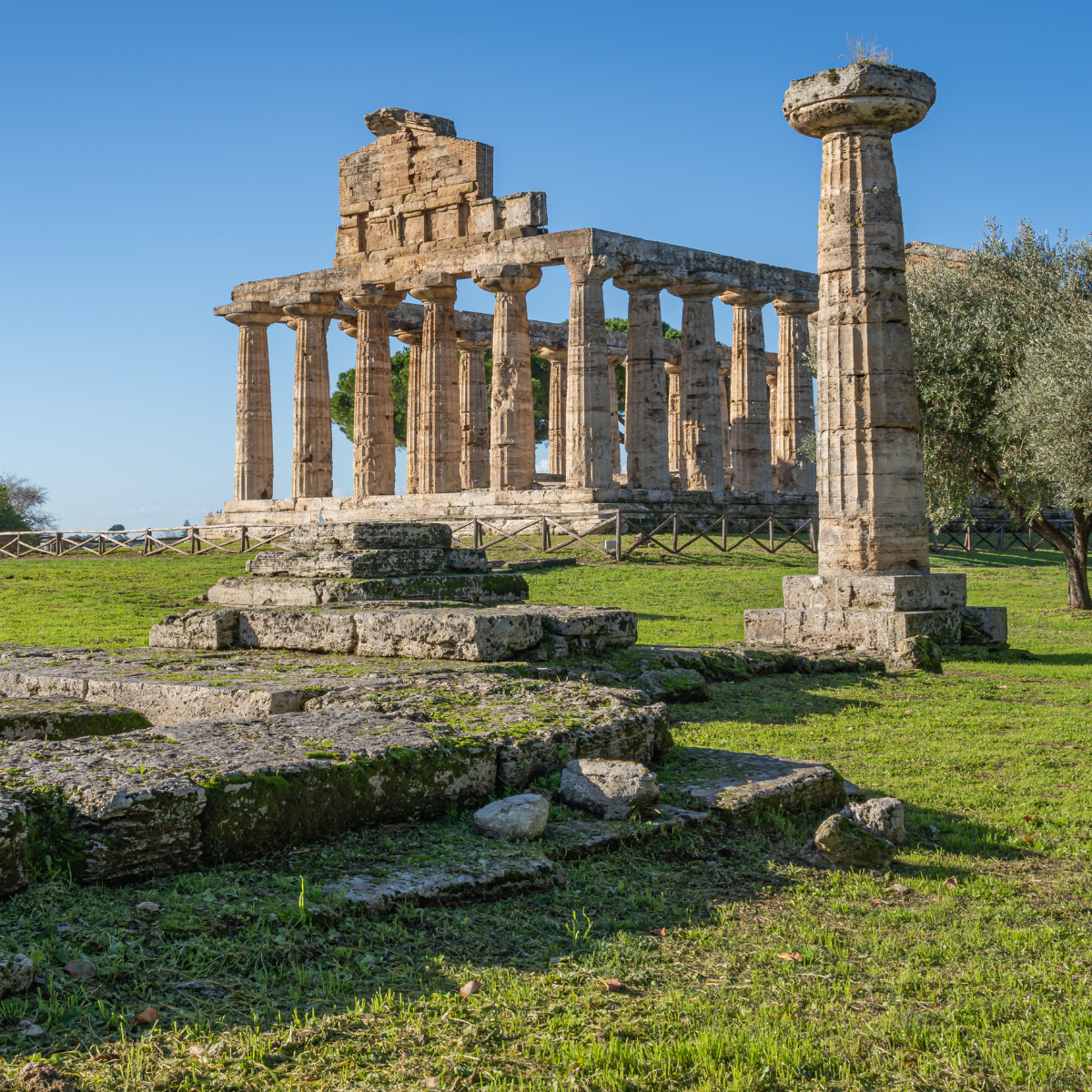 Paestum Experience